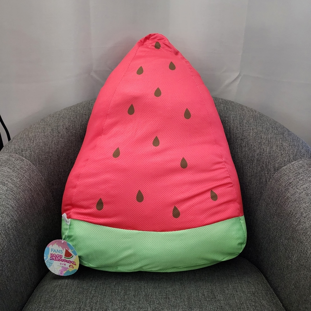 Large Watermelon Cushion
